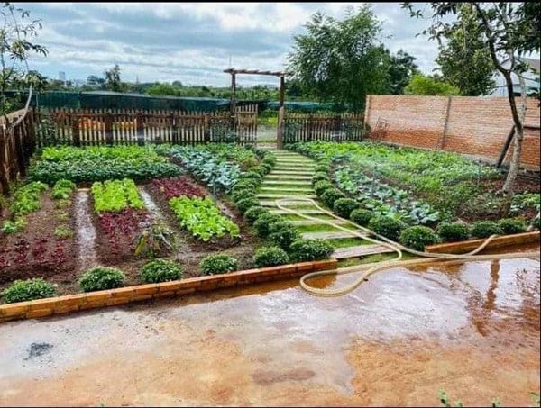 Đất vườn An Phú Quảng Ngãi 600m² giá thỏa thuận - Đường ô tô thông thoáng!