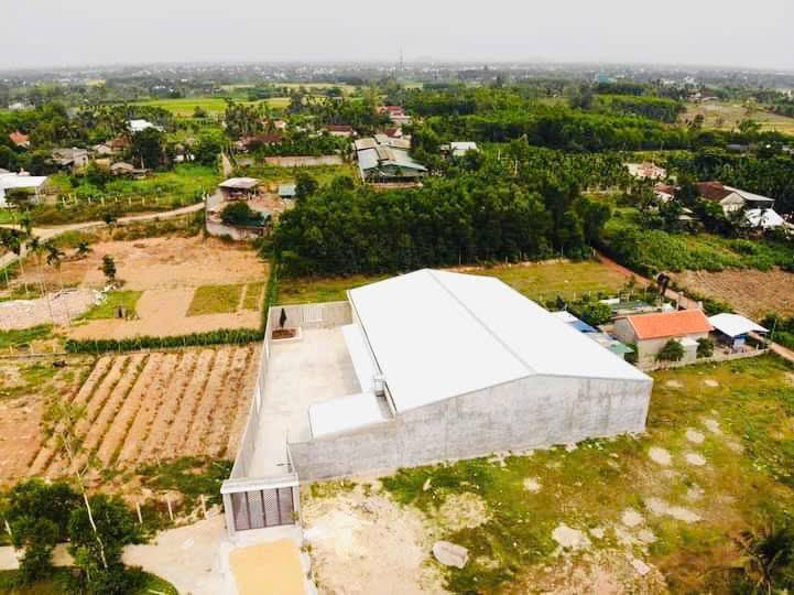 Xưởng 1.000m² tại Nghĩa Giang, Tư Nghĩa chỉ 3,5 tỷ - Pháp lý rõ ràng!