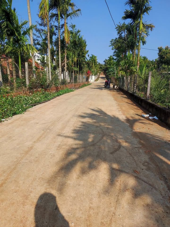 Đất thổ cư Thôn 7 Ea Ktur 290m² giá 1.5 tỷ - Vị trí thuận lợi gần sân bay!