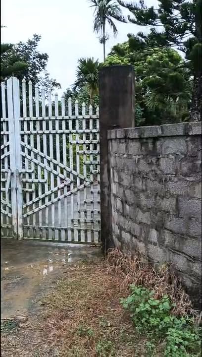 Đất nền Quảng Phú, Thọ Xuân 146,5m² giá chỉ 200 triệu - Cơ hội đầu tư tuyệt vời!