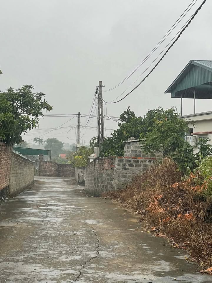 Lô đất 300m² Tiền An, Quảng Yên - Chính chủ bán gấp!