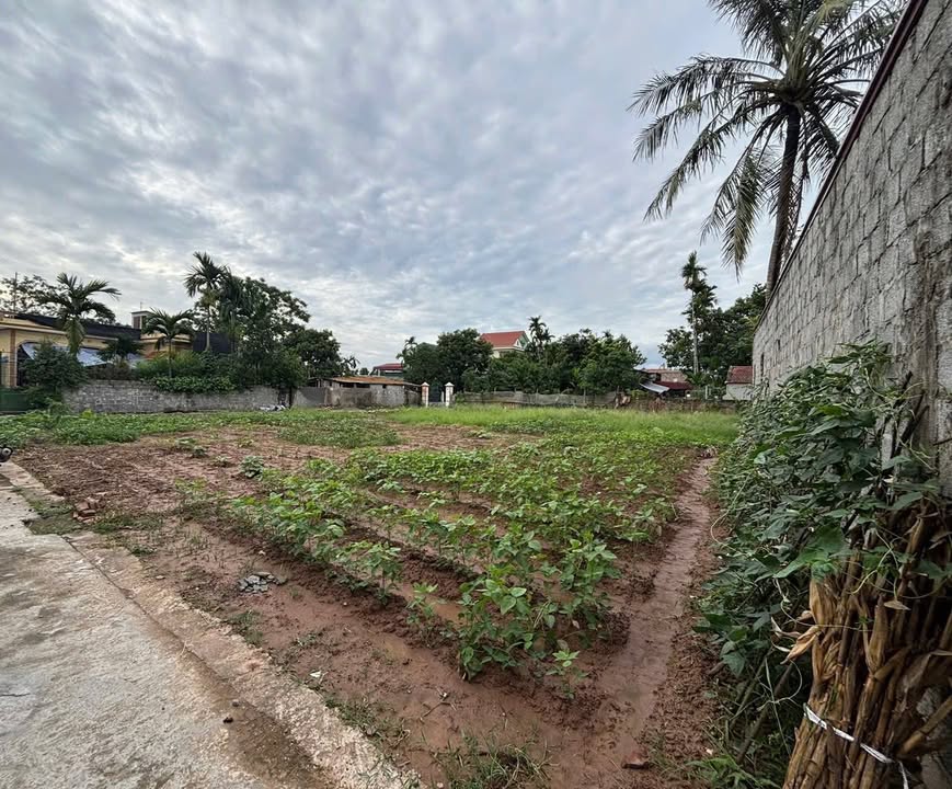 Đất nền Trác Văn - Duy Tiên 104m² giá chỉ 1 tỷ - Đầu tư sinh lời ngay!