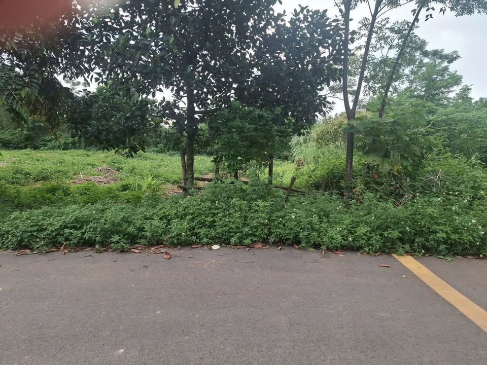 Đất nền Quỳnh Lưu Nho Quan Ninh Bình 145m² - Đường nhựa thông thoáng, giá tốt!