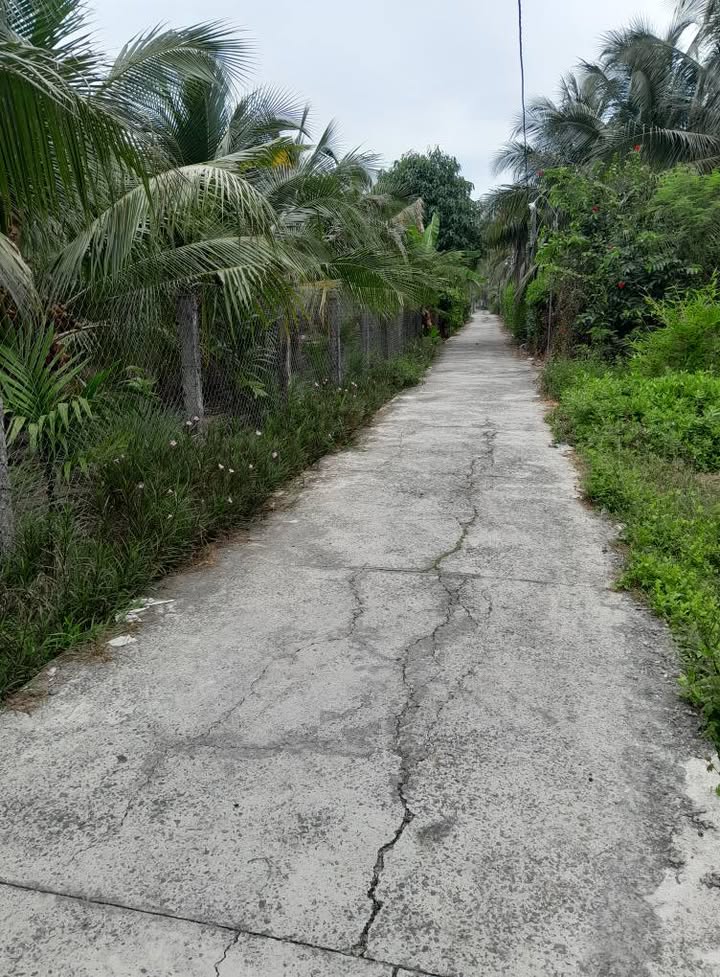 Đất 2 mặt tiền 460,7m² Cửu Hòa, Châu Thành chỉ 1.35 tỷ - Đầu tư sinh lời!