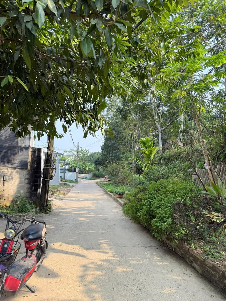 Đất thổ cư 160m² tại phường Ỷ La, Tuyên Quang - Vị trí đắc địa, giá thỏa thuận!