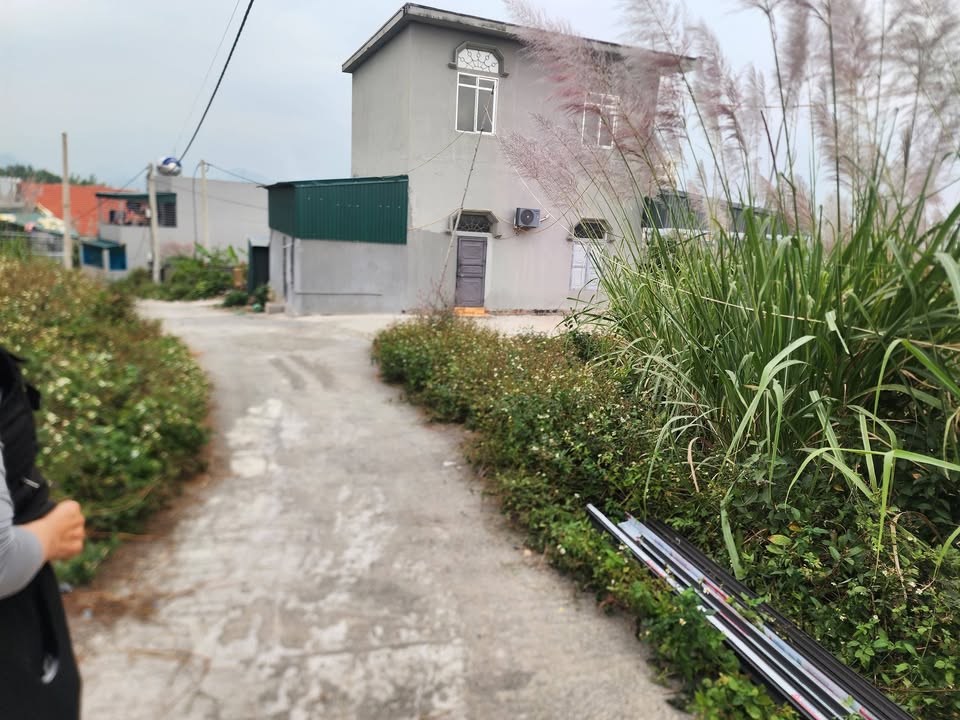 Đất Huyện Hạ Long 110m² giá 750 triệu - Ngõ ô tô trục thông, gần chợ!