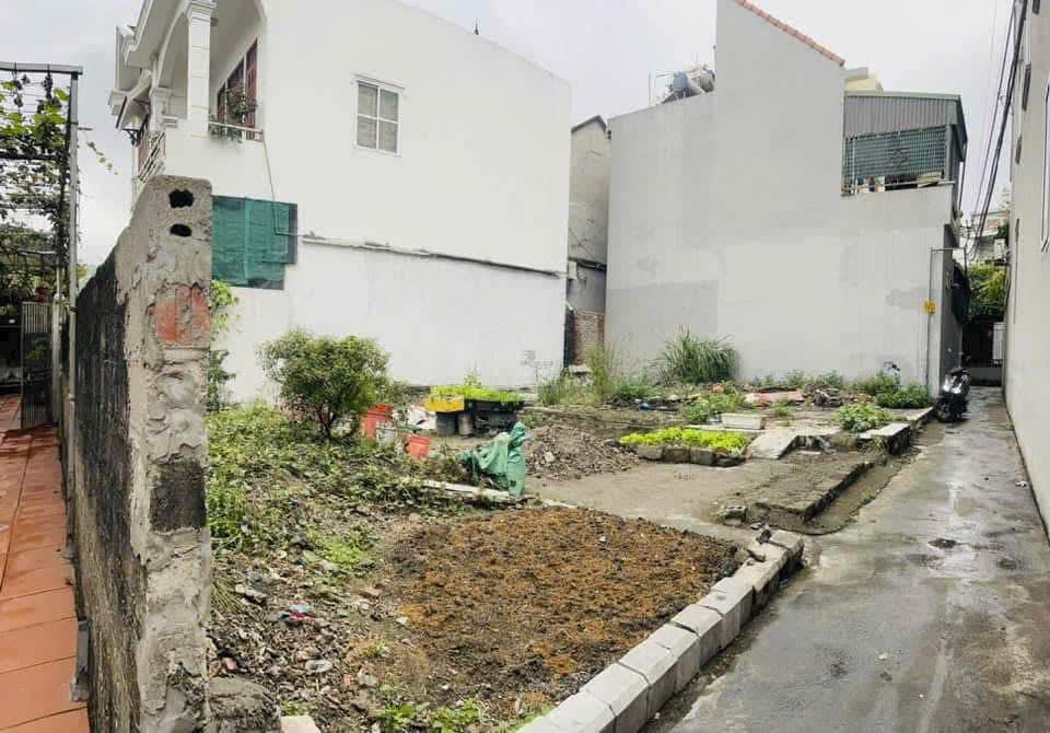 Đất nền Cẩm Bình 50m² giá 800 triệu - Bán gấp cho khách thiện chí!