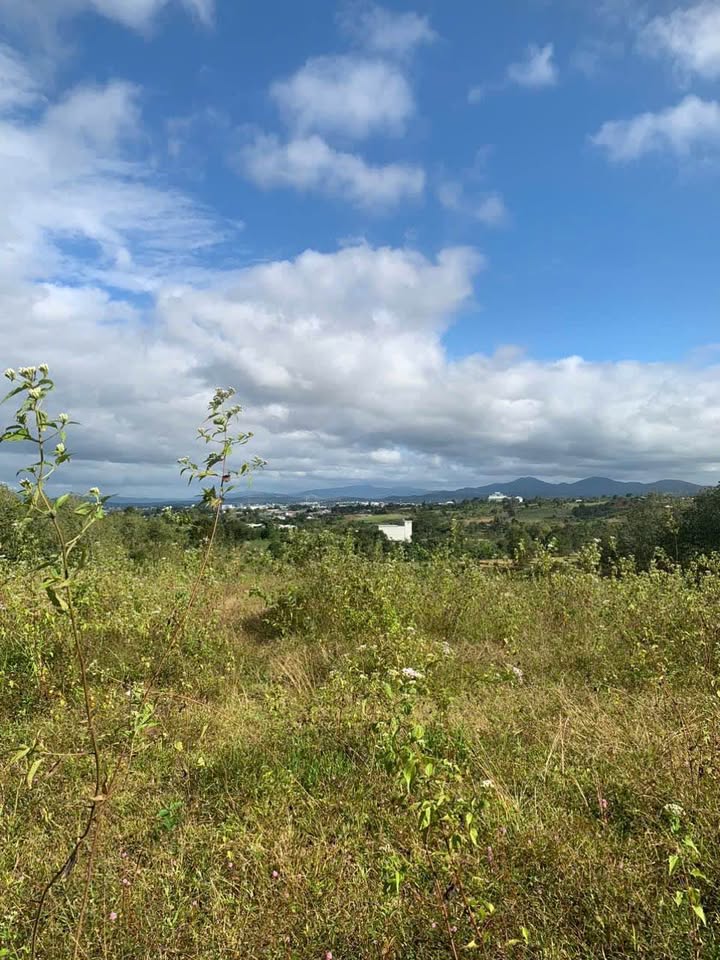 Đất nông nghiệp Trần Hưng Đạo, Kon Tum 500m² giá chỉ 200 triệu - Cơ hội đầu tư tuyệt vời!