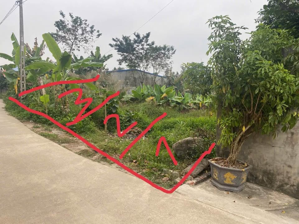 Đất nền phường Tân Long, Thái Nguyên 220m² giá chỉ 900 triệu - Đầu tư sinh lời ngay!