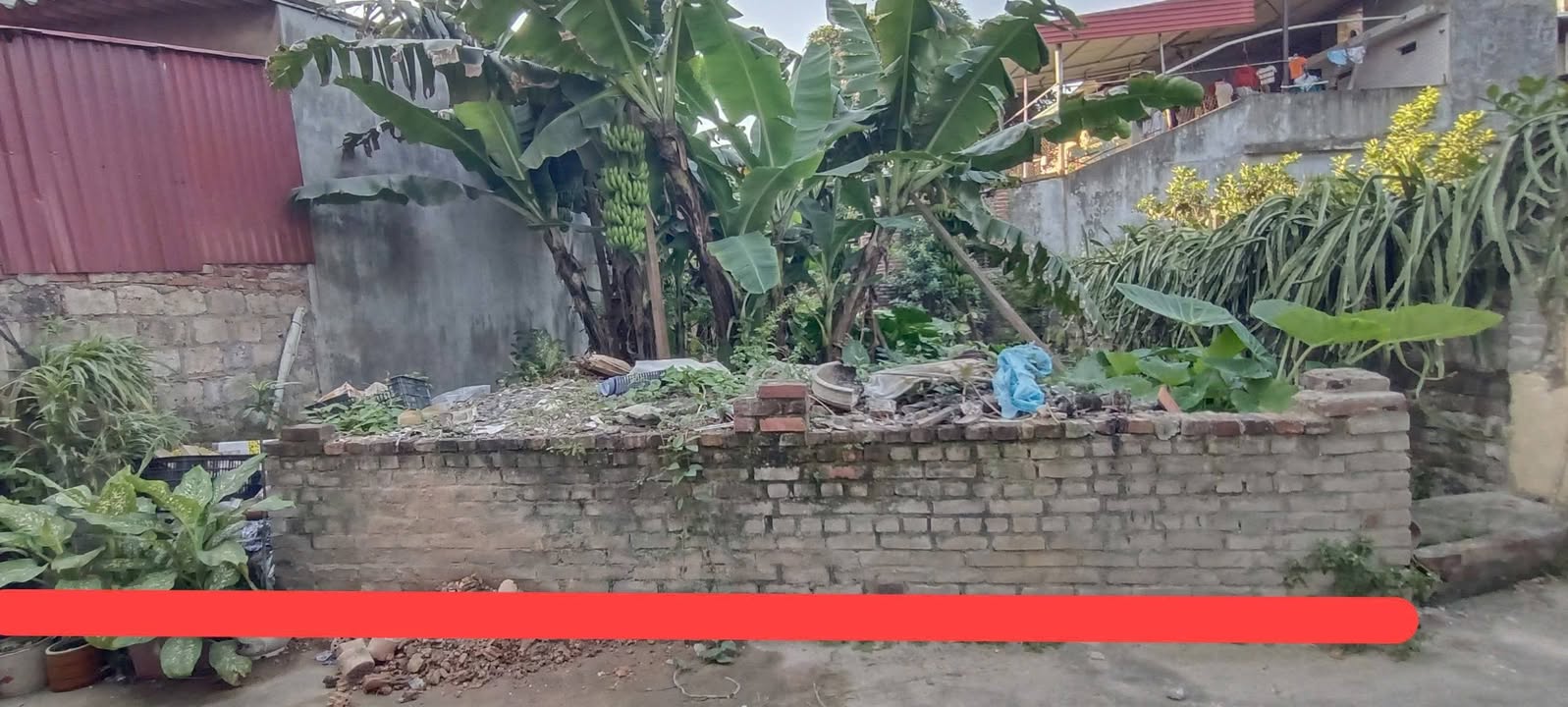 Lô đất giãn dân Đáp Cầu Bắc Ninh 61.5m² giá 2.8 tỷ - Đường ô tô vào tận đất!