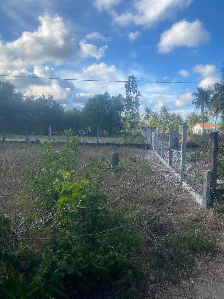 Bán đất Hoài Châu 126m² giá chỉ 300 triệu - Cơ hội đầu tư hấp dẫn!