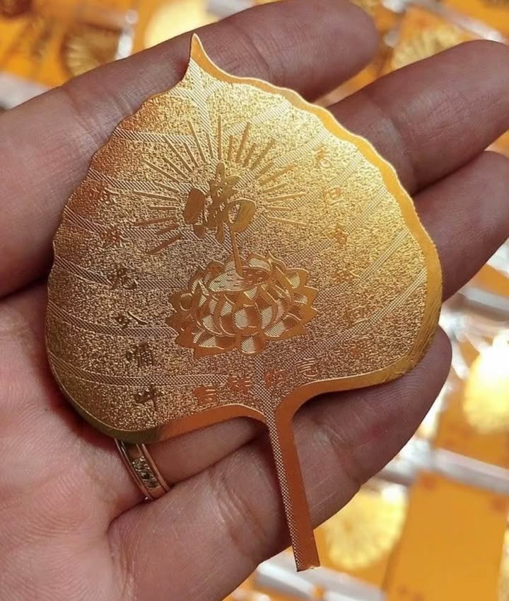 Cho thuê liền kề HD Mon Mỹ Đình 96m² giá 22 triệu - Thích hợp làm văn phòng, kinh doanh!