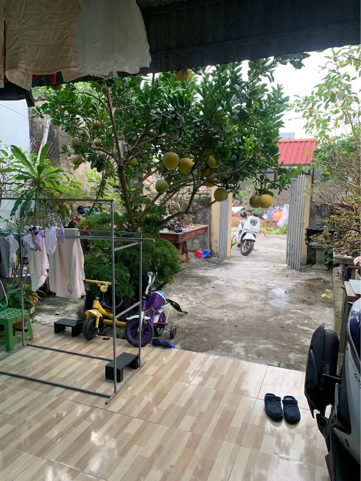 Bán nhà đất Phú Lạc, Thái Bình 80m² giá 1.4 tỷ - Ô tô vào tận cửa!