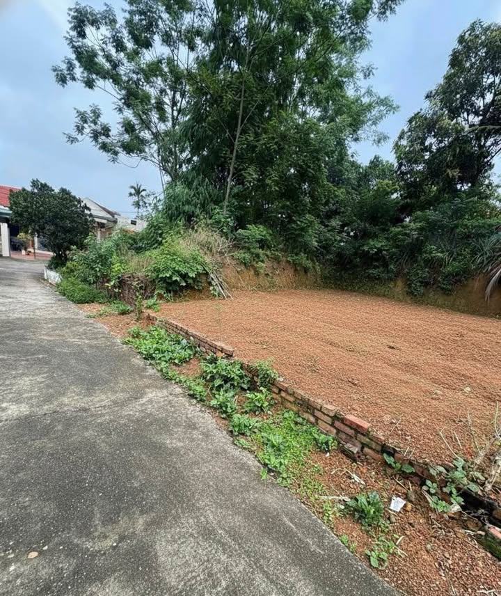 Đất nền khu phố 1 Thanh Đình 79m² giá 600 triệu - Đường ô tô vào tận nơi!