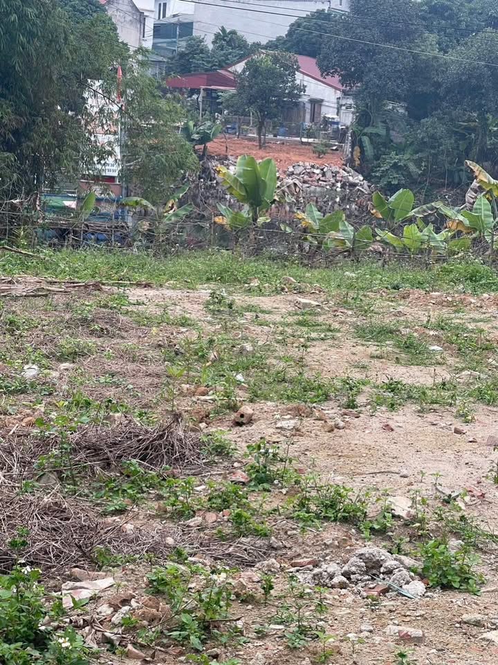 Đất nền Vân Phú 115m² giá 2.5 tỷ - Đầu tư sinh lời trong tầm tay!