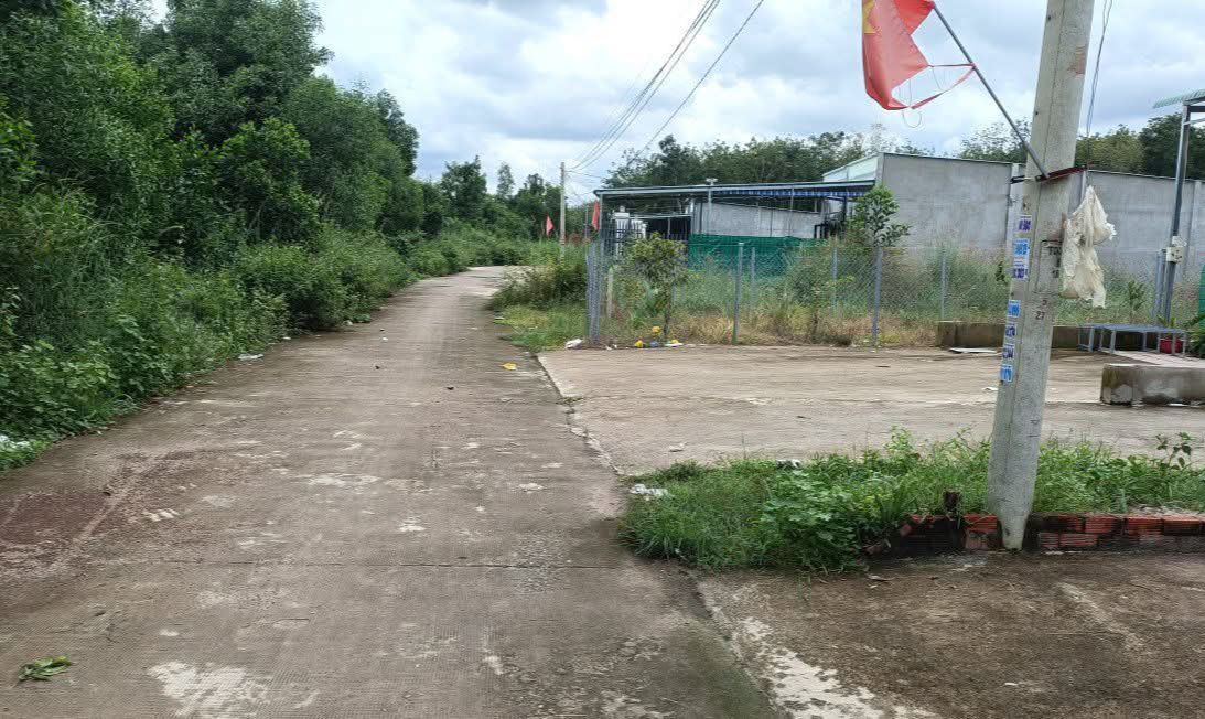 Đất nền 250m² tại khu phố 3, Tân Khai giá 200 triệu - Đầu tư sinh lời ngay!