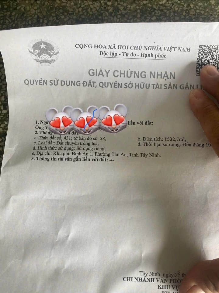 Đất nền Đinh Thiếu Sơn, Tân An 1532m² giá chỉ 2 tỷ - Đầu tư sinh lời tuyệt vời!