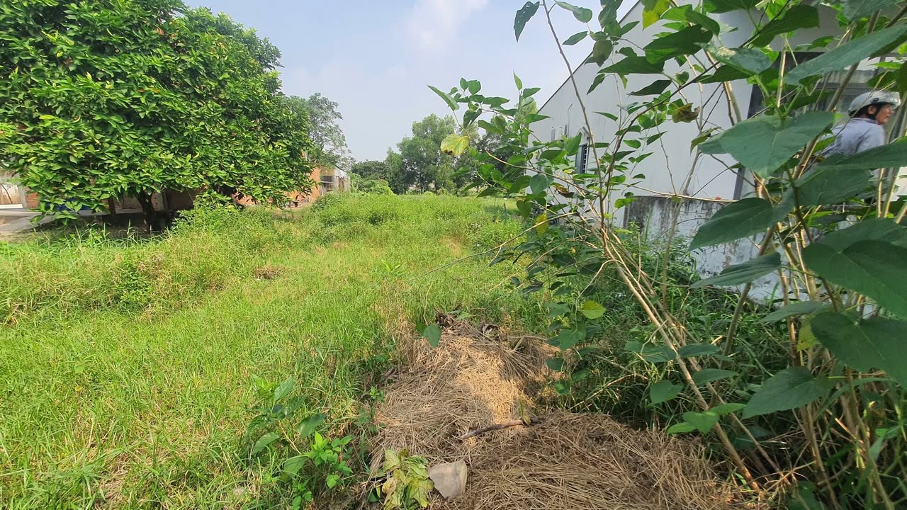 Đất thổ cư 250m² tại Đức Hòa, Long An giá 1.25 tỷ - Sổ đỏ chính chủ, đường đá xanh 4m!