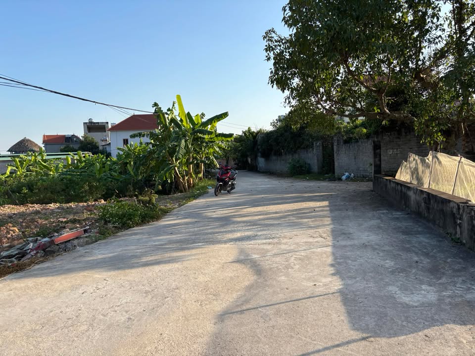 Lô đất đẹp TDP Thượng Tùng, Tân An, Bắc Giang 248m² - Giá tốt, đầu tư sinh lời!