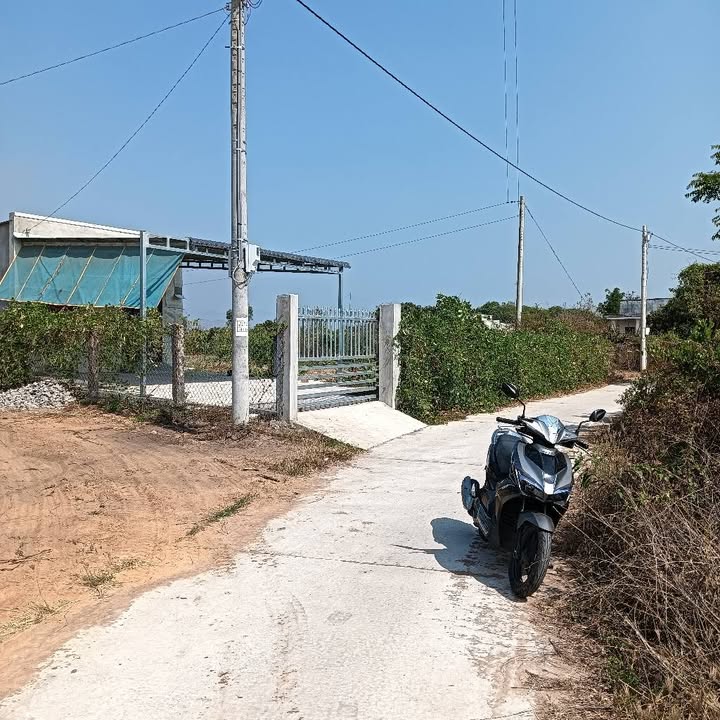 Nhà vườn Bình Lâm, Hàm Chính 4.123m² giá 1.484 tỷ - Đầu tư sinh lời ngay!