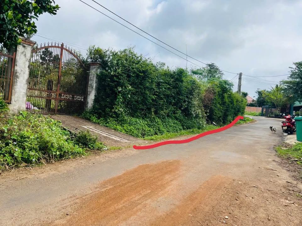 Đất nền Tân Hưng, phường Ea Kao 300m² giá 2.35 tỷ - Thế đất cao ráo, vị trí đắc địa!