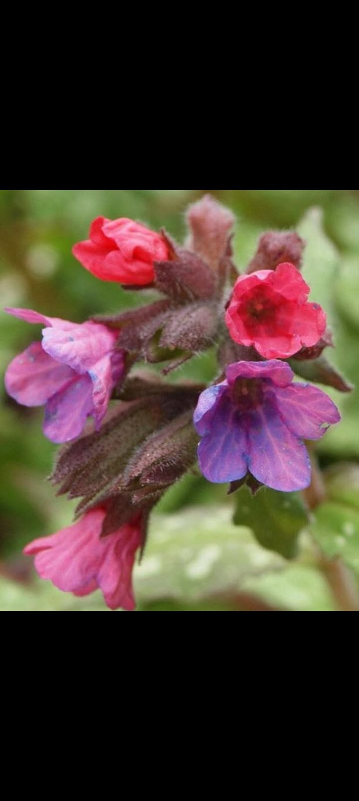 Đất mặt tiền Liên Ấp 2-6, Vĩnh Lộc A, 264m² giá 10 tỷ - Pháp lý sổ hồng riêng!