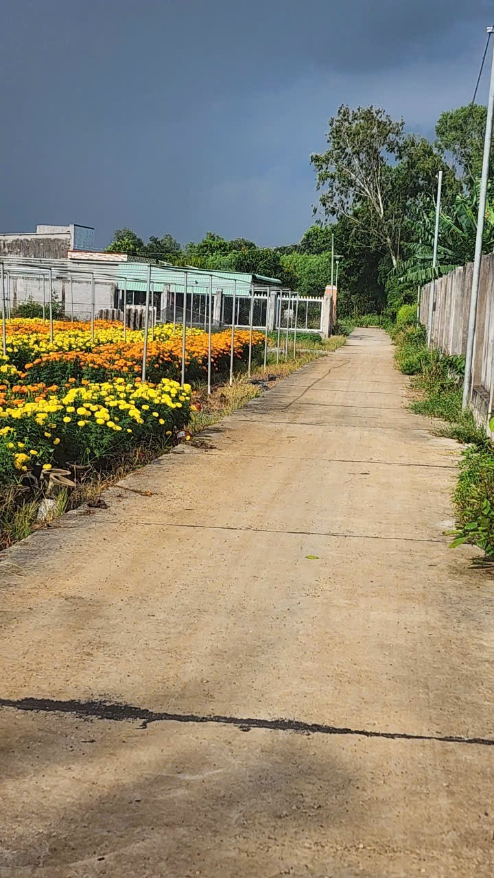 Đất nền 2004m² Phước Long Thọ, Bà Rịa - Vũng Tàu giá 3.6 tỷ - Bán gấp ngay cổng khu công nghiệp!