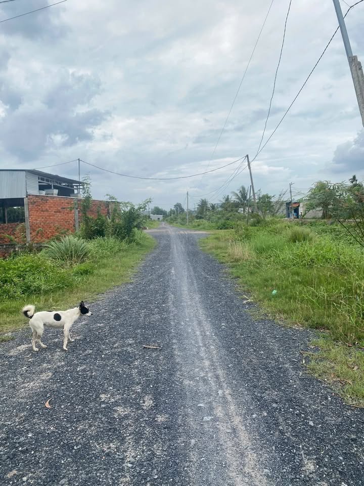 Đất nền 275m² tại Khu Vực 4, Thị Trấn Đức Hoà - Giá đầu tư chỉ 1.65 tỷ!