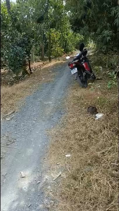 Cho thuê 15 công đất vườn tại xã Thanh Mỹ, Đồng Tháp - Giá chỉ 90 triệu/tháng!