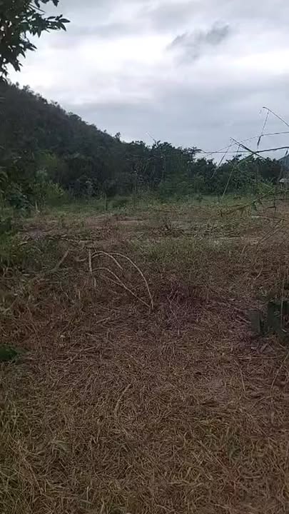 Đất cho thuê tại xã Uar, huyện Krông Pa, Gia Lai - Diện tích 2,8ha, thỏa thuận giá