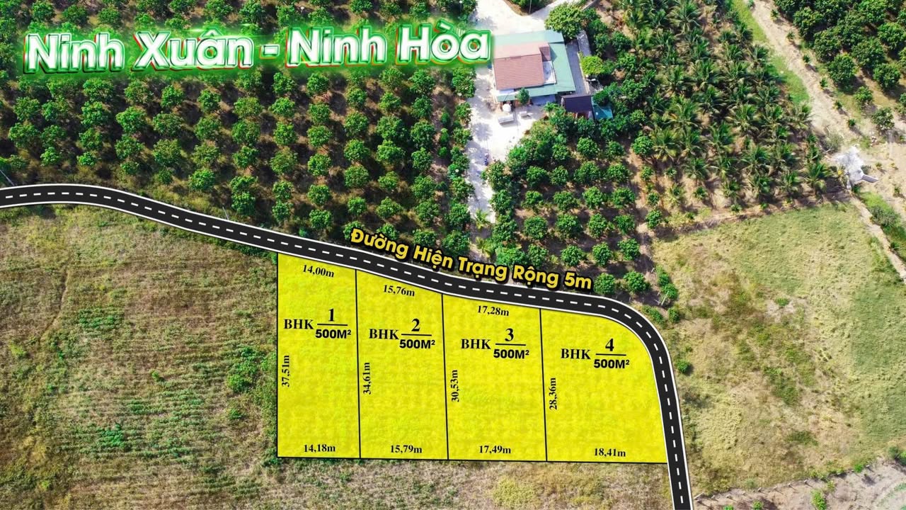 Đất Nền Ninh Xuân 500m² giá chỉ 239 triệu - Tiềm năng sinh lời cao!
