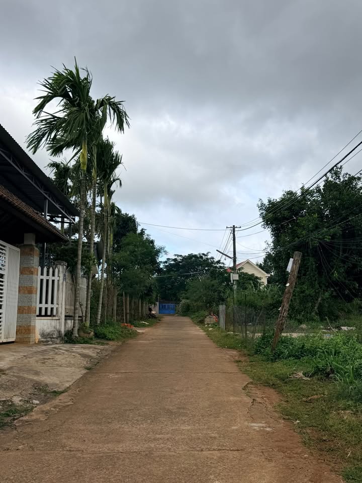 Đất góc 2 mặt tiền đường số 11B, Tân An 513m² giá 3.65 tỷ - Đầu tư lý tưởng!