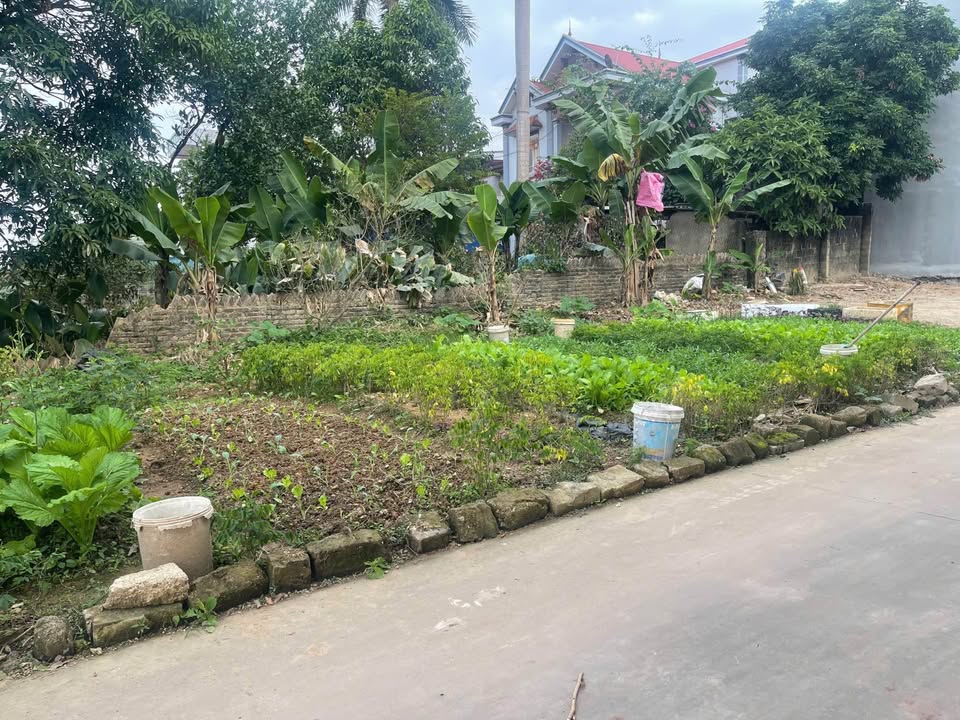 Đất nền Gia Sàng, Thái Nguyên 64m² giá 1,x tỷ - Cơ hội đầu tư tuyệt vời!