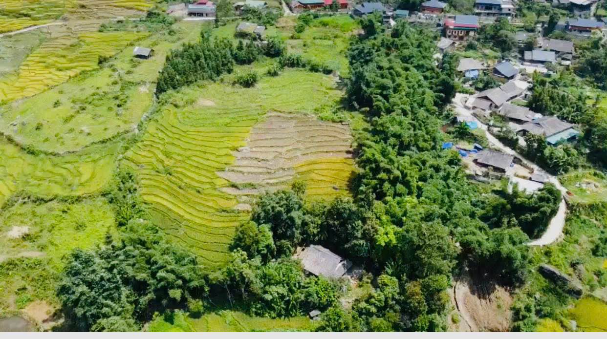 Đất thổ cư 400m² Mường Hoa, Sa Pa 3600m² - Vị trí đẹp, giá thương lượng!