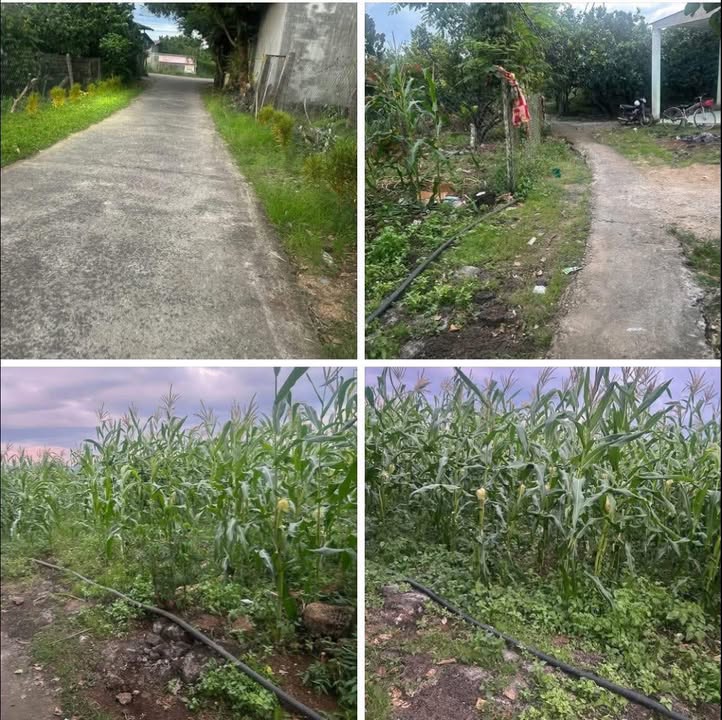 Đất nền 2000m² xã Phú Lập - Tân Phú - Đồng Nai giá 1 tỷ - Cơ hội đầu tư hấp dẫn!