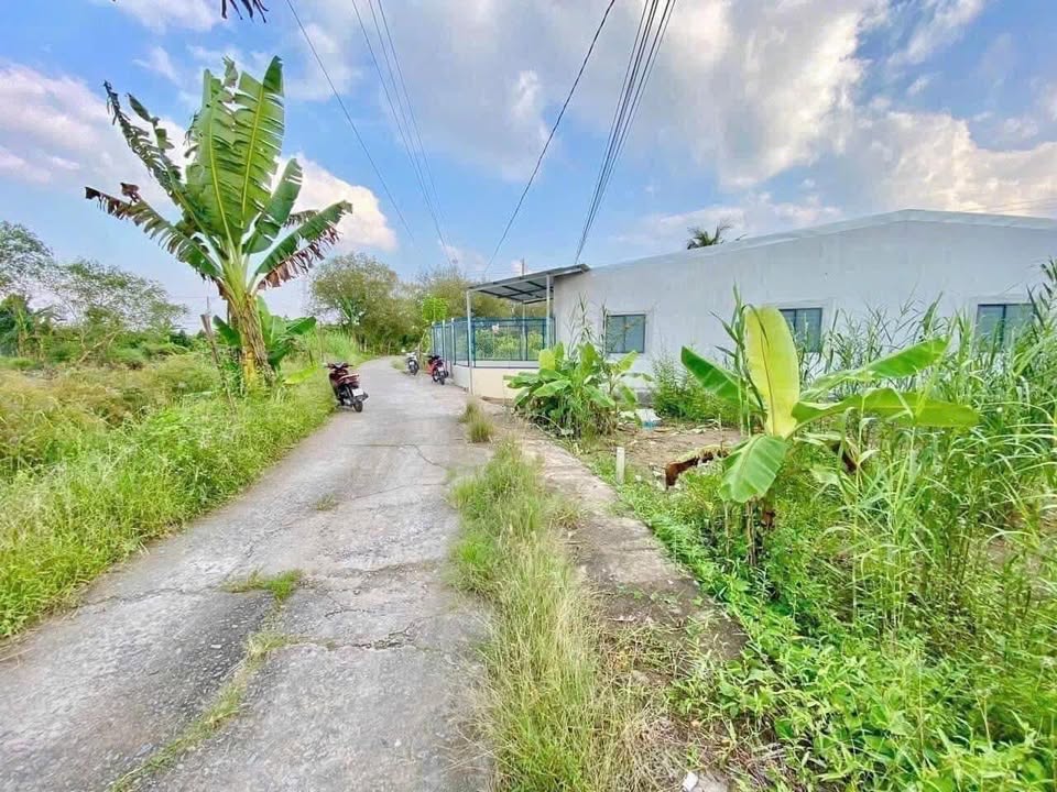 Bán đất nền Trương Vĩnh Nguyên Cái Răng 83m² giá 799 triệu - View sông mát mẻ!