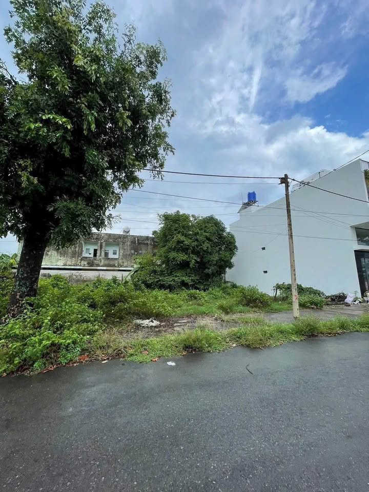 Đất thổ cư KDC Đại Dương Tân An 100m² giá 2.5 tỷ - Nền đẹp, vị trí tiềm năng!