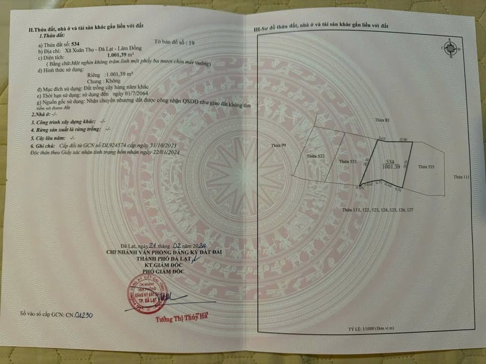 Đất đẹp 1000m² tại Xuân Trường, Đà Lạt chỉ 1,9 tỷ - Đầu tư sinh lời ngay!