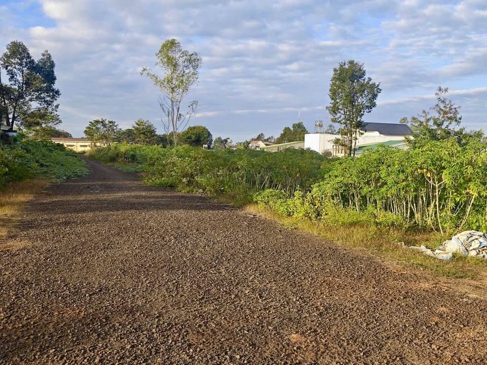 Đất nền tại thị trấn Ia Ly, Chư Păh, Gia Lai 168m² chỉ 300 triệu - Đầu tư sinh lời ngay!