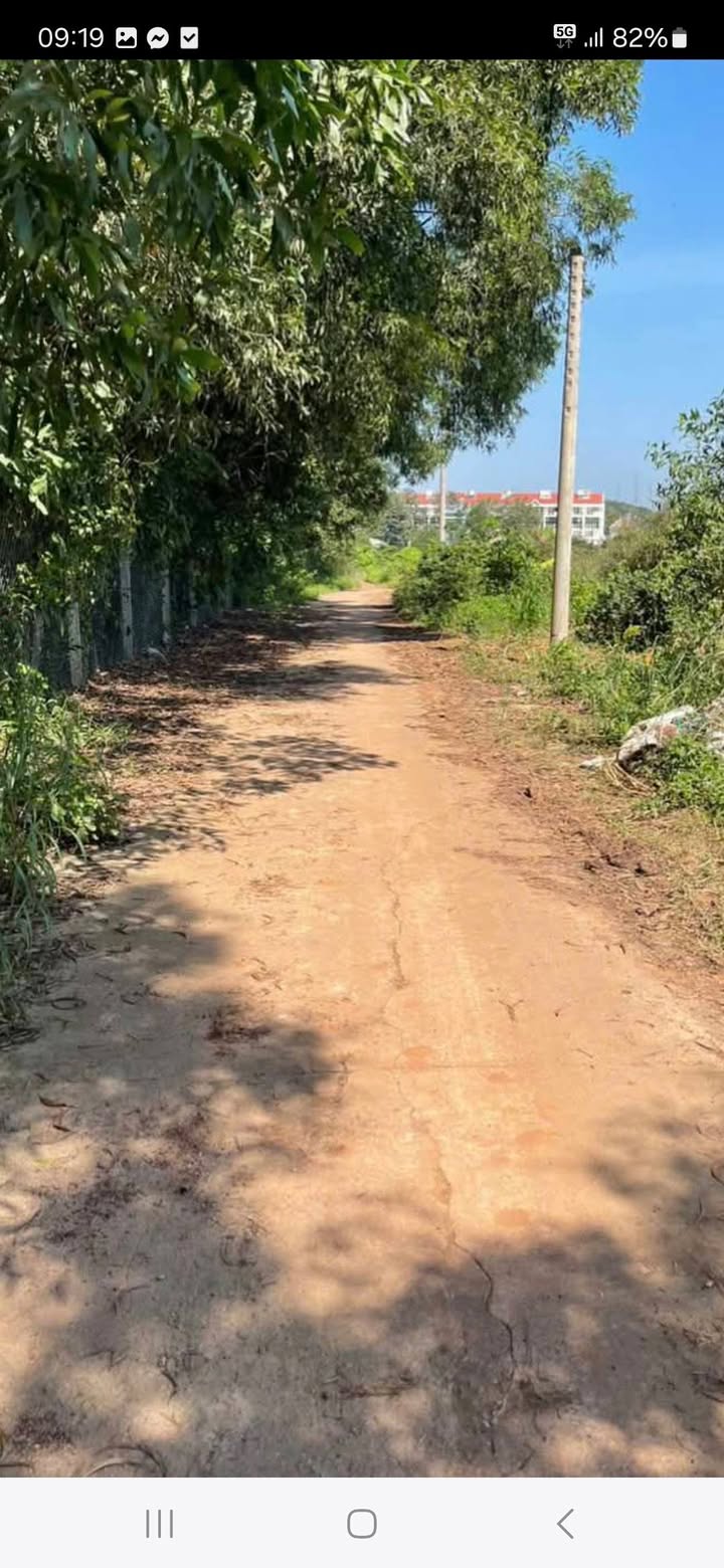 Đất thổ cư Thới Hòa, Bến Cát 125m² giá 1.2 tỷ - Đầu tư sinh lời ngay!