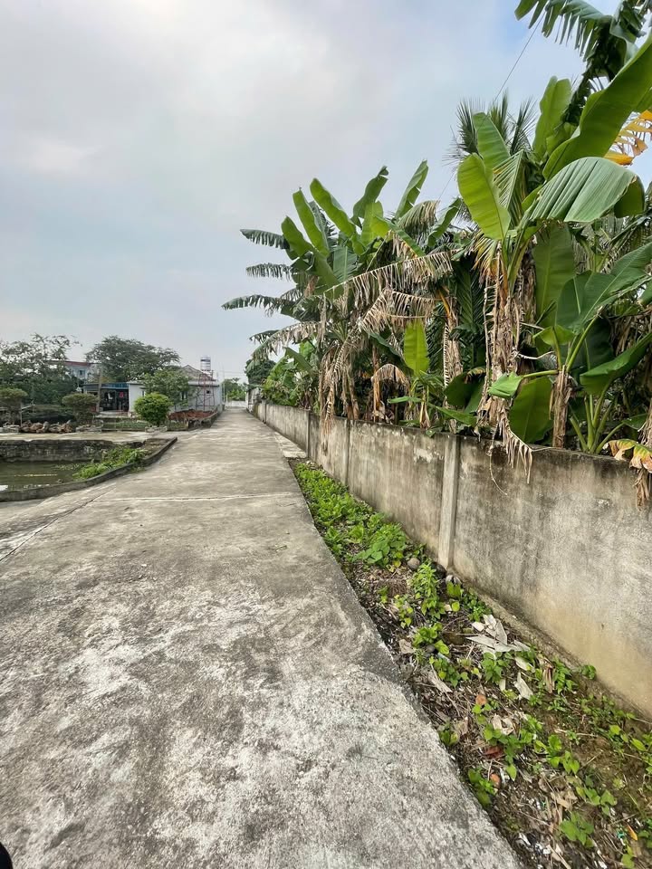 Đất thổ cư Quảng Ngọc 405m² giá đầu tư chỉ 1 tỷ - Đón đầu xu hướng phát triển!