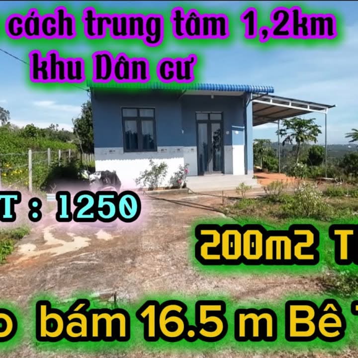 Đất thổ cư 360m² tại Đan Phượng - Giá 1.25 tỷ, sổ đỏ chính chủ!
