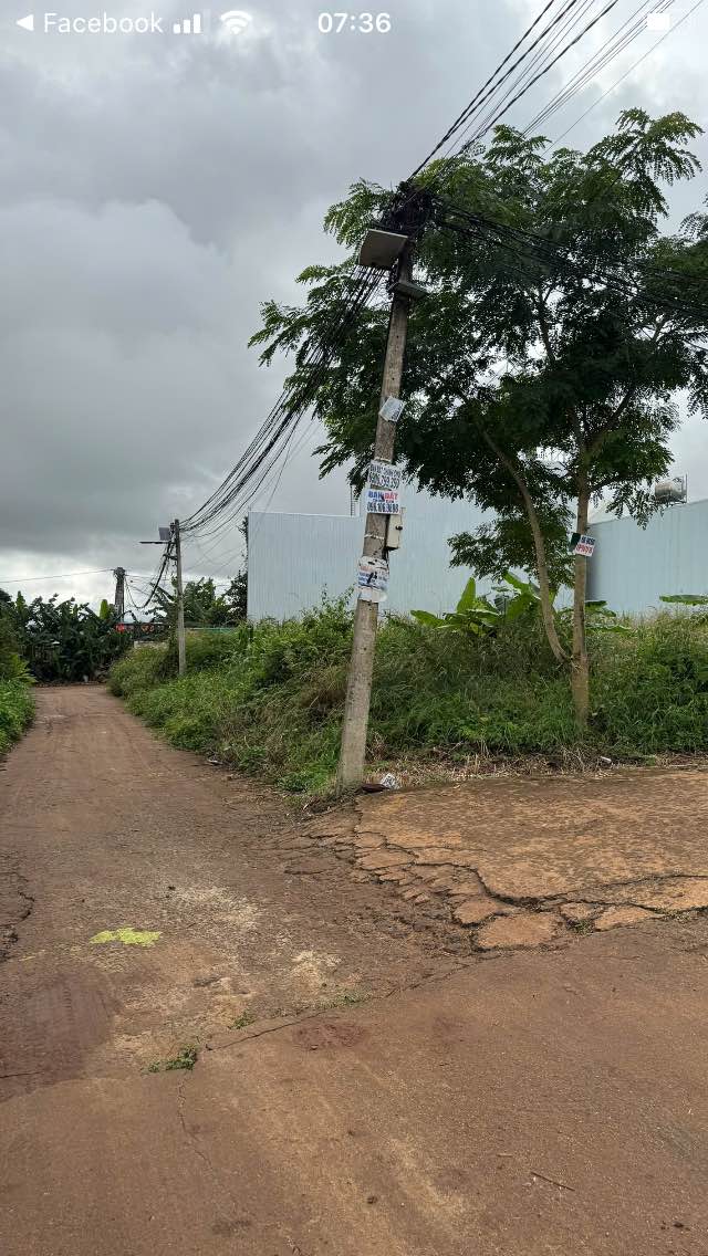 Lô đất mặt tiền đường Nguyễn Huệ, Buôn Ma Thuột 110m² giá 3.59 tỷ - Đầu tư sinh lời ngay!