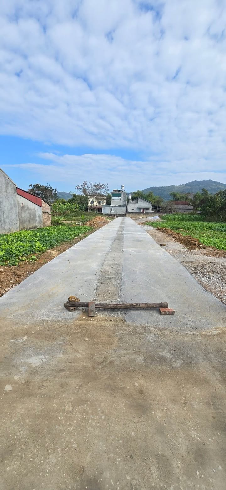 Lô đất Đề Thám 100m² giá 800 triệu - Khu dân cư yên tĩnh, đẹp mắt!