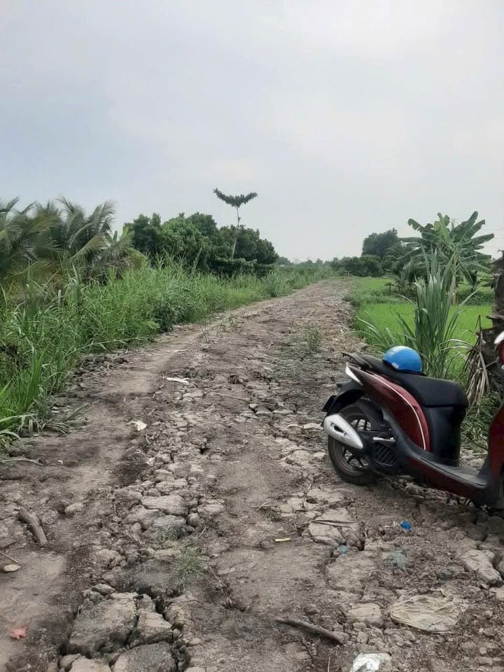 Đất vườn Phước Hậu 2400m² giá 2 tỷ - Cơ hội đầu tư hấp dẫn!