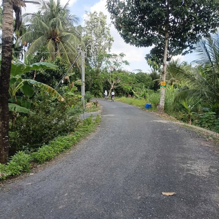 Đất nền 1500m² mặt tiền đường nhựa tại phường Đông Thành, Bình Minh - Giá chỉ 900 triệu!