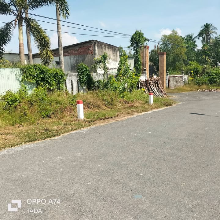 Đất nền mặt tiền Tỉnh lộ 901, Tân An Luông 5 công - Cơ hội đầu tư lý tưởng!