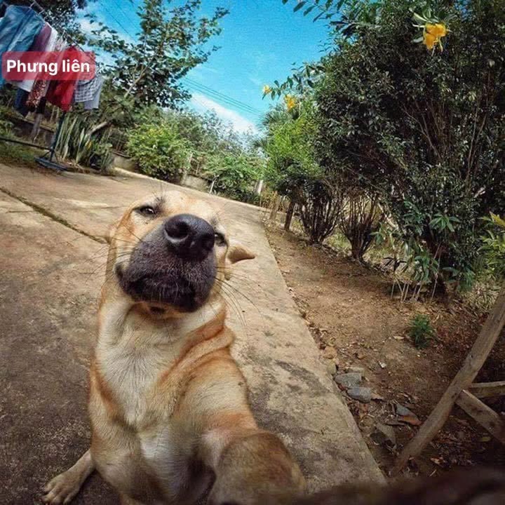 Đất nền thôn Gò Mè, Yên Xuân 1900m² giá 16.15 tỷ - Sổ đỏ chính chủ, cơ hội đầu tư sinh lời!