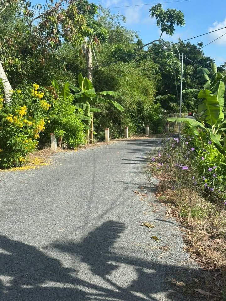 Đất nền An Thái Trung, Cái Bè 4000m² giá 2.4 tỷ - VIEW SÔNG SIÊU ĐẸP