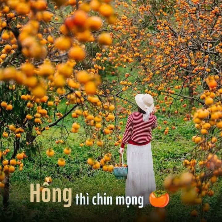 Nhà bán Suối Hoa Bắc Ninh 80m² giá 11 tỷ - Sẵn sàng ở ngay!